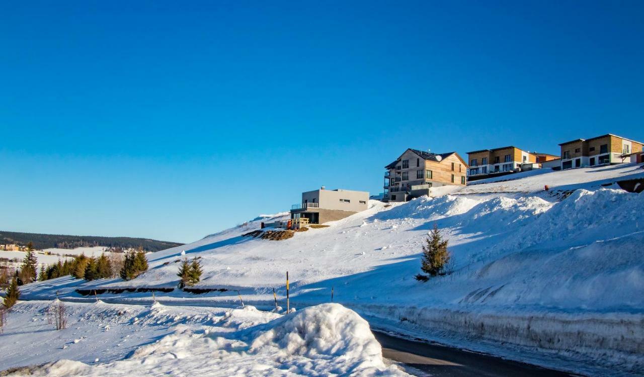 Wellness Villa Klinovec Views Loučná pod Klínovcem Esterno foto